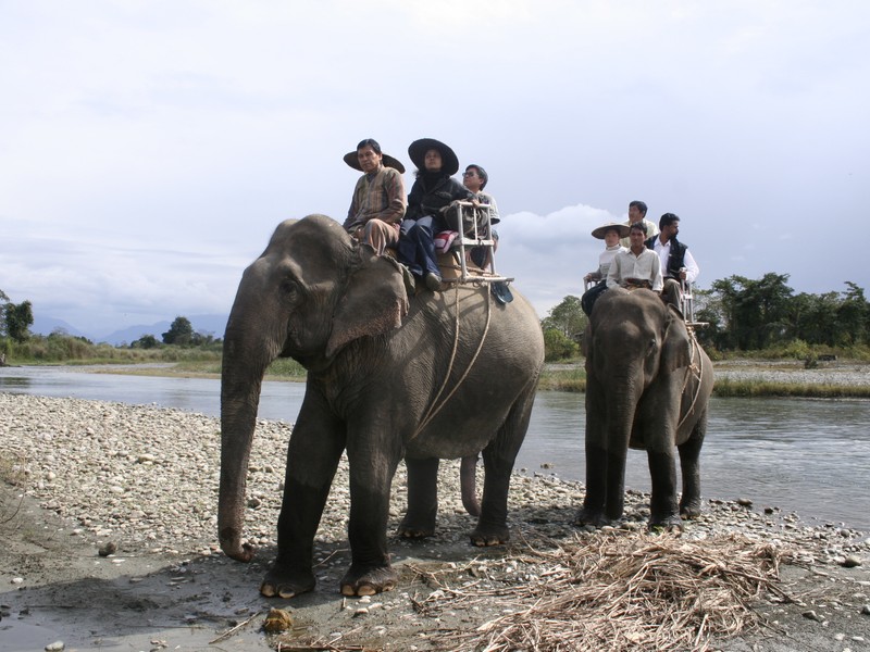 Touristen auf Elefanten - Indien - 2007