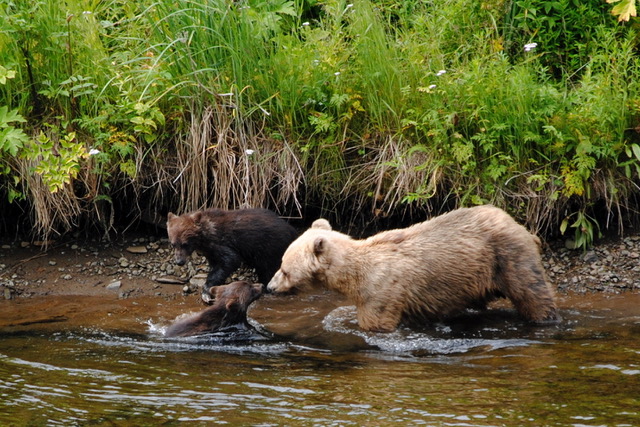 pix by Icy Strait Point